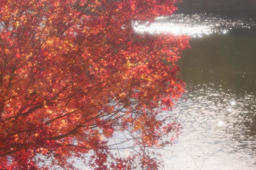 紅葉と湖の写真