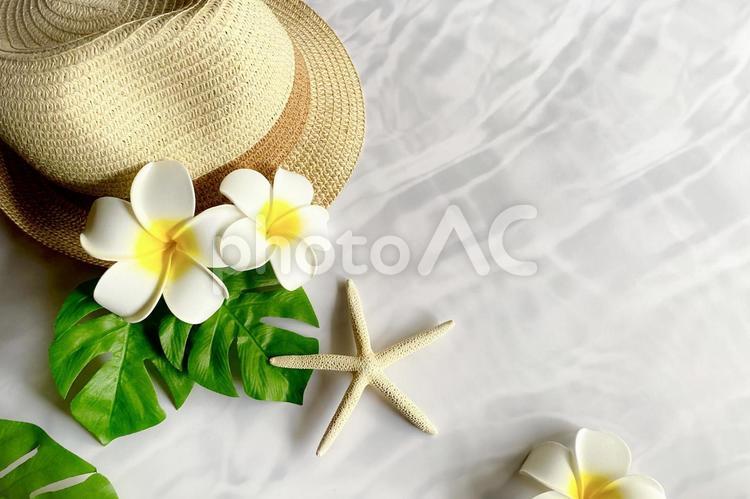 夏イメージ 夏,夏フレーム,夏イメージの写真素材