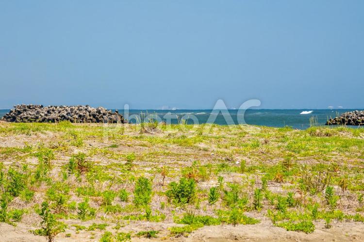 浜辺の風景⒁ 海,波,白波の写真素材