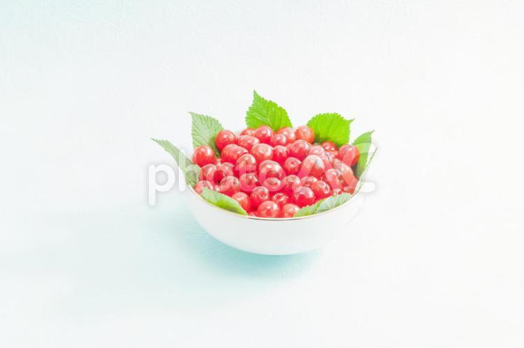 山桜桃（ゆすら）の味は恋の味 実,ゆすら,ユスラの写真素材