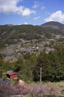 Spring in Kawazu Town, Kamo District, Shizuoka Prefecture, JPG Spring in Kawazu Town, Kamo District, Shizuoka Prefecture, JPG