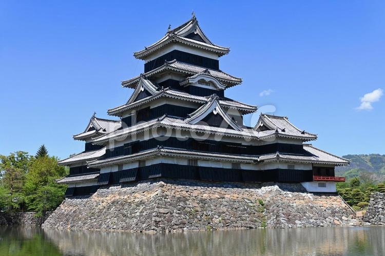 威風堂々とした信州松本城 国宝天守 松本城,国宝,天守の写真素材