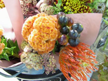 花 植物 花 植物の写真