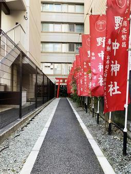 Photo, miyagi prefecture, sendai city, sun mall ichibancho, 