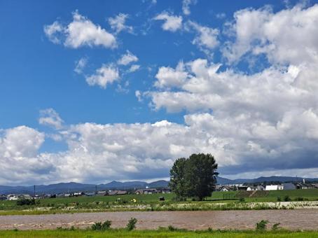 河川敷3濁流 河川敷3濁流の写真