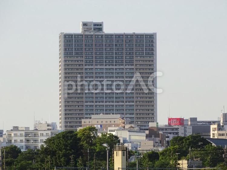 立川の大規模タワーマンション 景観,風景,タワマンの写真素材