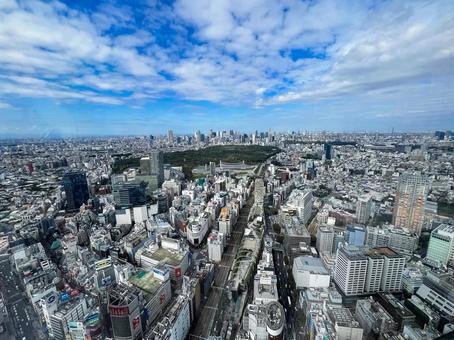 渋谷から代々木公園 渋谷から代々木公園 渋谷,スカイ,都市の写真素材