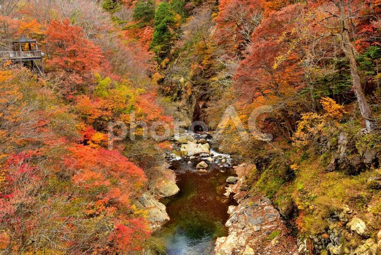 秘境の紅葉（栃木川俣） 紅葉,秋,秘境の写真素材
