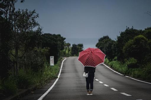 <素材>一人雨の道路を散策する女性 <素材>一人雨の道路を散策する女性 女性,雨,傘の写真素材