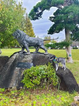 ライオンのオブジェとワンコ わんこ,犬,シュナの写真素材