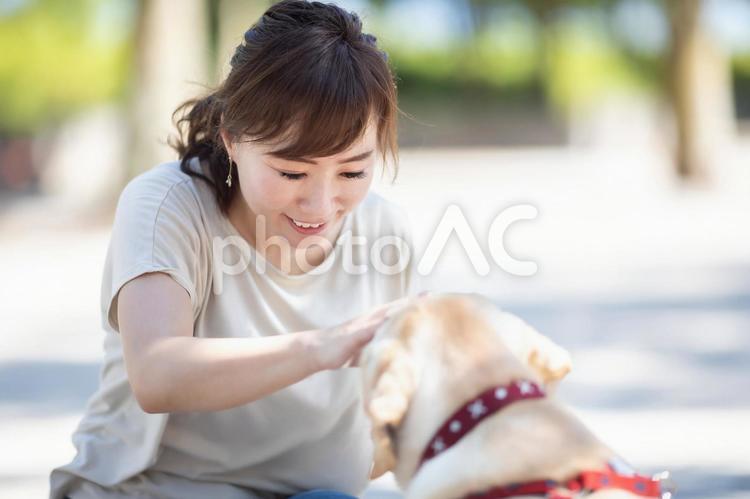 犬の散歩をする女性 犬,犬の散歩,散歩の写真素材