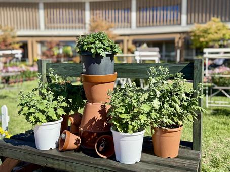 武生中央公園　植木鉢で作った人形 人形,緑化,植木鉢の写真素材