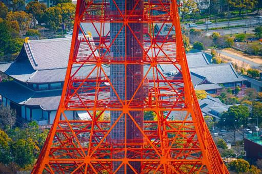 東京タワーの構造と寺院 東京タワーの構造と寺院 東京タワー,赤い鉄骨,構造物の写真素材