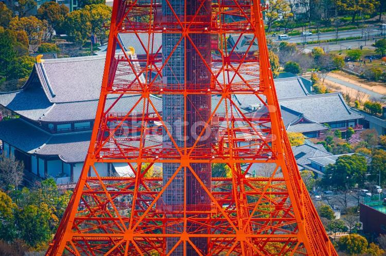 東京タワーの構造と寺院 東京タワー,赤い鉄骨,構造物の写真素材
