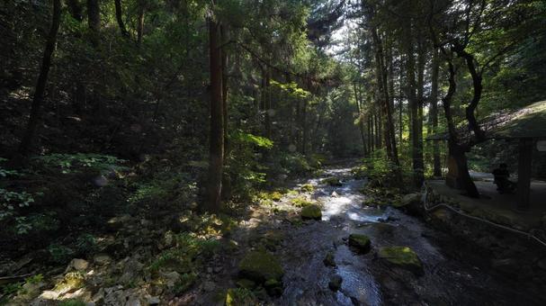 秋芳洞を巡る 秋芳洞を巡る 秋芳洞,洞窟,山口の写真素材