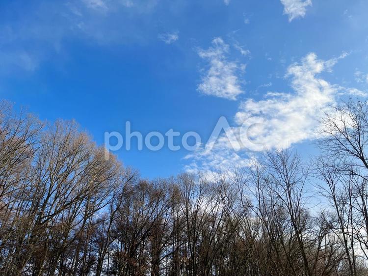 冬空の風景 冬空,冬,空の写真素材