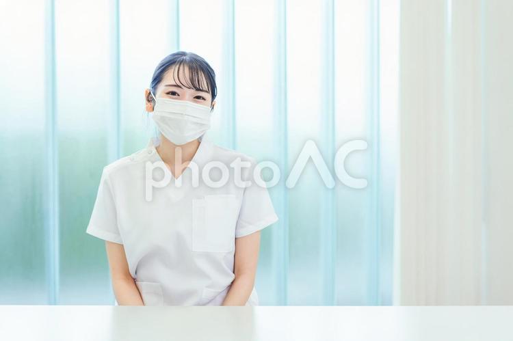マスクをする白衣姿の女性 医療事務,看護師,入院の写真素材
