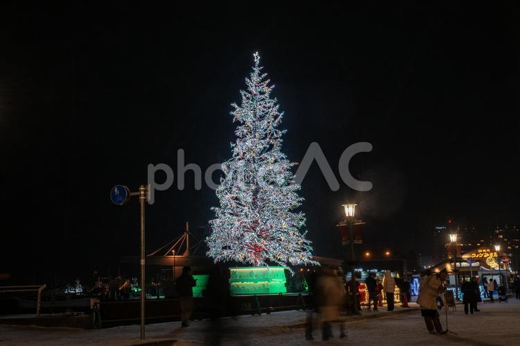 函館ベイエリアクリスマスツリーと観光客 クリスマスツリー,イルミネーション,ライトアップの写真素材