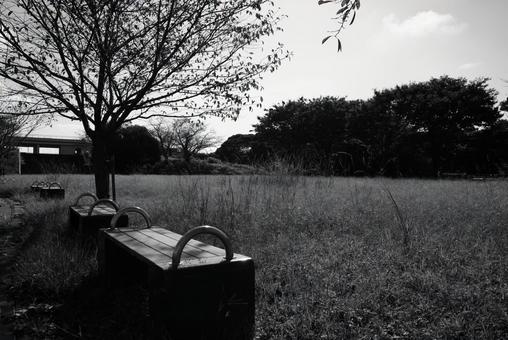 秋の公園の風景 秋の公園の風景 公園,広場,晴れの写真素材
