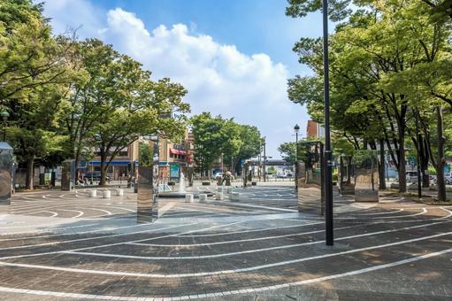 開港記念公園 開港記念公園 開港広場公園,開港記念広場,横浜市の写真素材