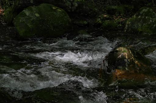 渓流 渓流の写真
