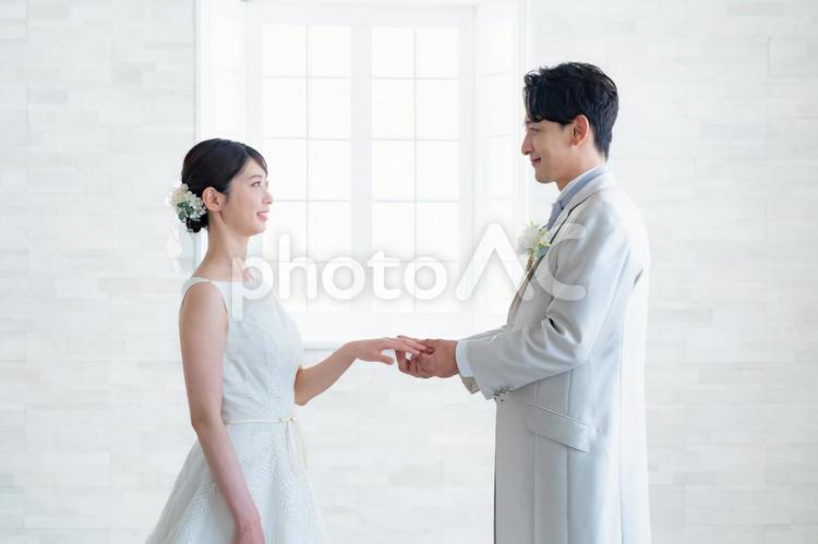 指輪交換する男女 結婚式,指輪交換,結婚指輪の写真素材