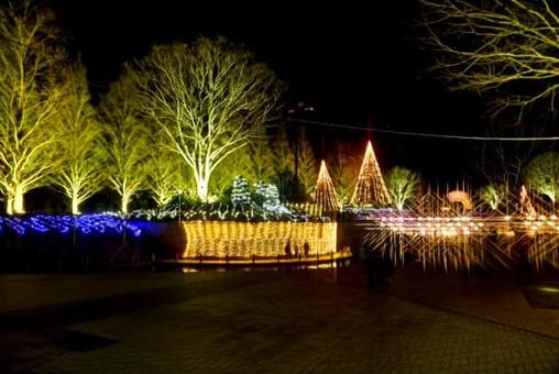 イルミネーション イルミネーションの写真