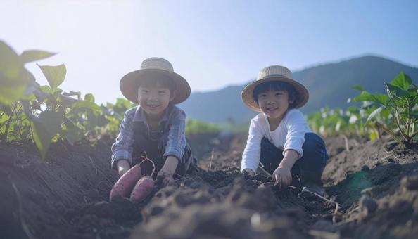 芋掘りする子供 芋掘りする子供の写真