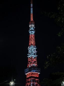 夜空に輝く東京タワー 東京タワー,夜景,ライトアップの写真素材