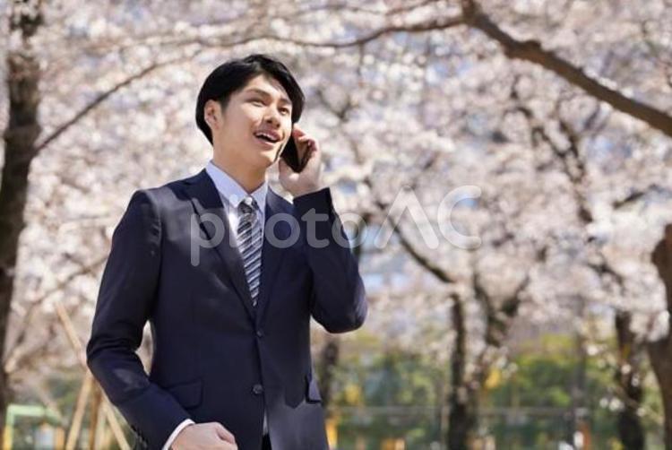 桜を背景に電話をする日本人ビジネスマン ビジネスマン,男性,笑顔の写真素材