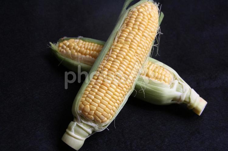 とうもろこし 玉蜀黍,野菜,やさいの写真素材