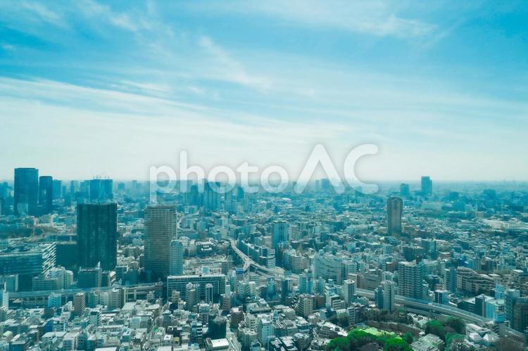 東京・港区の都市風景 東京,港区,高層ビルの写真素材