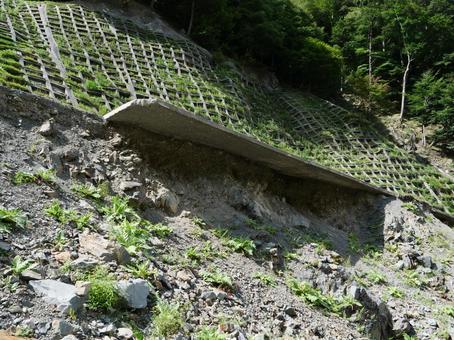 鋸岳登山道 路面が浮いた林道 鋸岳登山道 路面が浮いた林道の写真