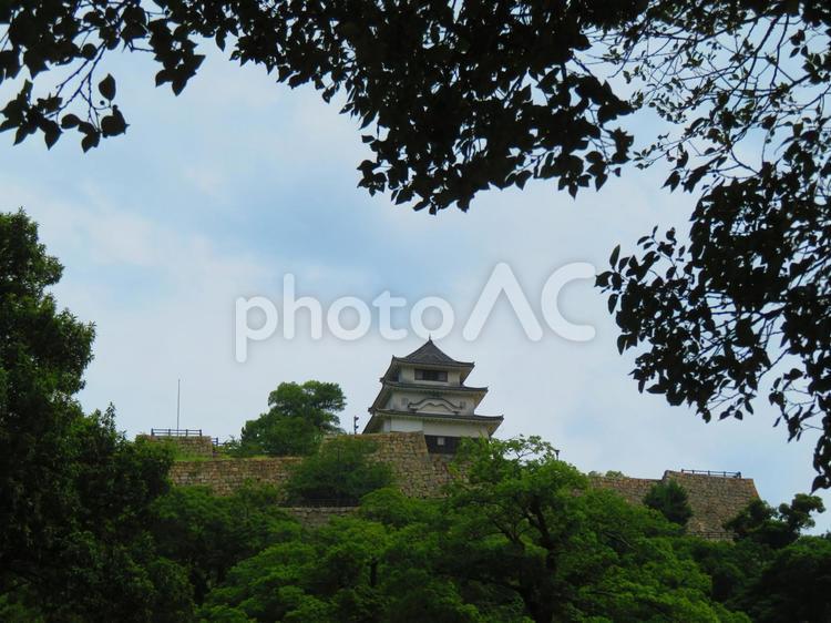 ７月上旬の丸亀城の天守 背景,丸亀城,城の写真素材