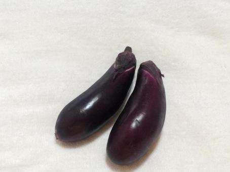茄子 茄子の写真