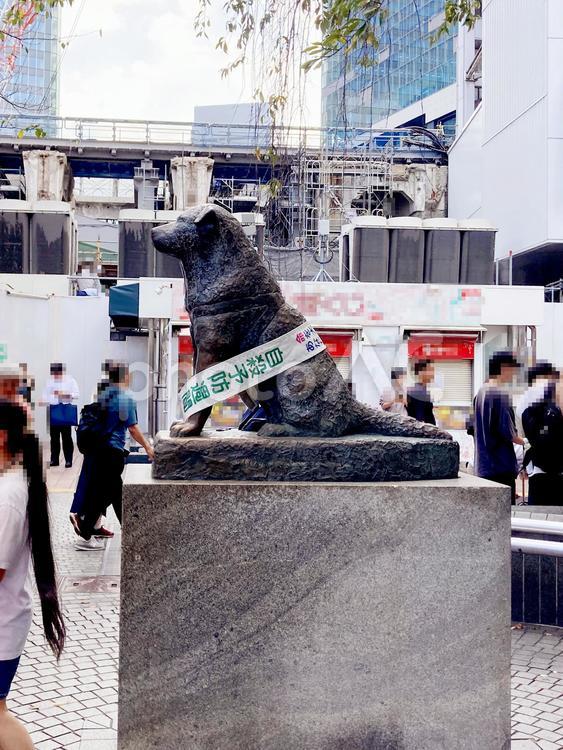 東京風景・渋谷 渋谷,ハチ公,忠犬ハチ公の写真素材