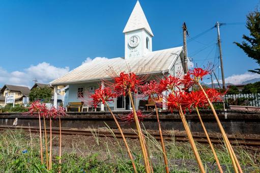 彼岸花と阿蘇白川駅 彼岸花と阿蘇白川駅 南阿蘇鉄道,阿蘇白川駅,彼岸花の写真素材