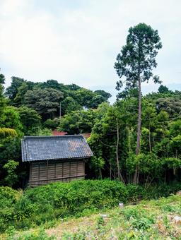 開発が進み切り開かれた雑木林 開発が進み切り開かれた雑木林 木,林,森の写真素材