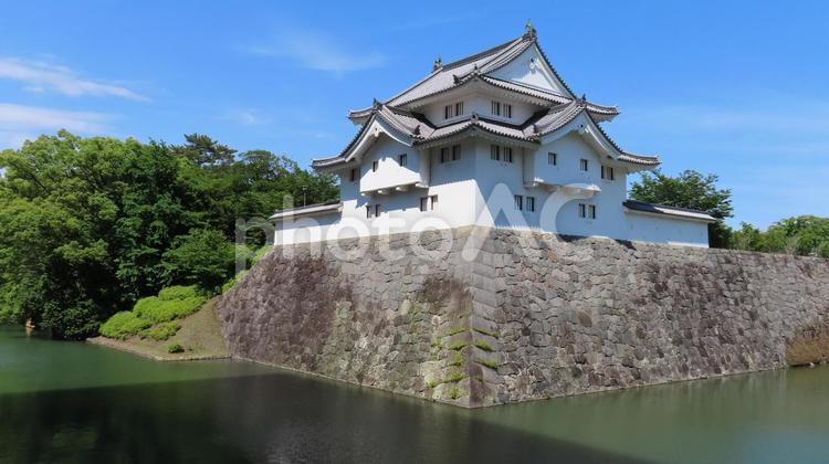 駿府城　坤櫓 駿府城,駿河府中城,徳川家康の写真素材