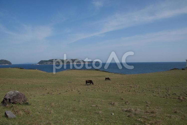 牧場と海と空 風景,景色,自然の写真素材