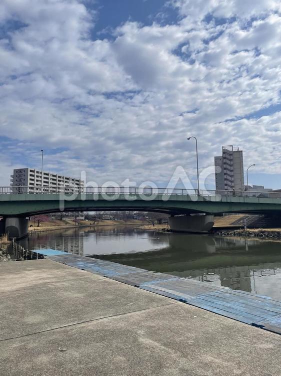 中平井橋と旧中川沿いの風景 中平井橋,旧中川,桜の写真素材