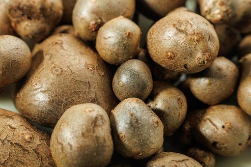 森の中から収穫してきた野生のむかご 森の中から収穫してきた野生のむかご 食べ物,食材,野菜の写真素材