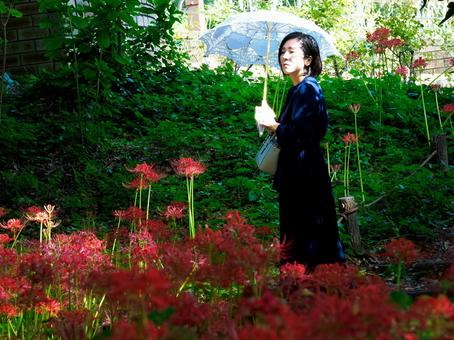 40:彼岸花を静かに眺める女性 40:彼岸花を静かに眺める女性 彼岸花,ミステリアス,悲しげの写真素材