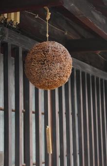 京都の酒蔵の軒先につるされた杉玉2 秋 京都の酒蔵の軒先につるされた杉玉2 秋の写真