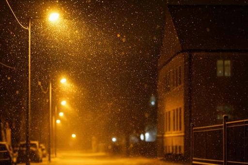 街灯に照らされる雪の夜道 街灯に照らされる雪の夜道の写真
