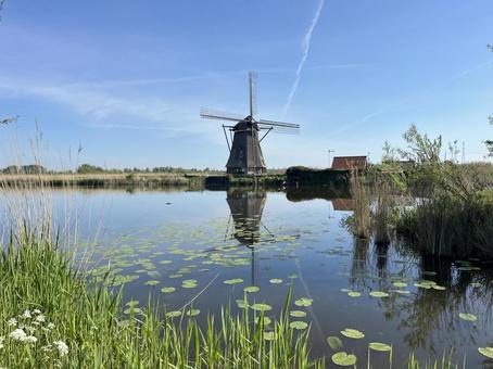 キンデルダイク＝エルスハウトの風車網 キンデルダイク,風車,オランダの写真素材