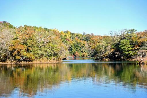 秋の映り込み　一碧湖 映り込み,反射,紅葉の写真素材