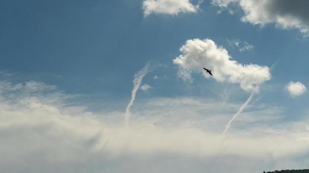 青空の写真 青空の写真の写真