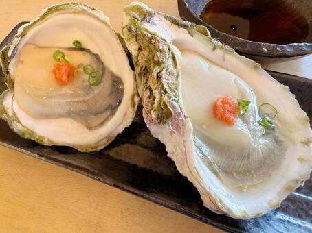 岩牡蠣 牡蠣,岩牡蠣,生牡蠣の写真素材