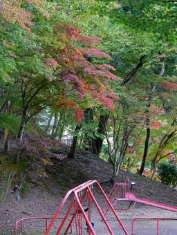 紅葉 紅葉,秋,ブランコの写真素材